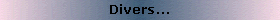 diversa.gif (3326 octets)
